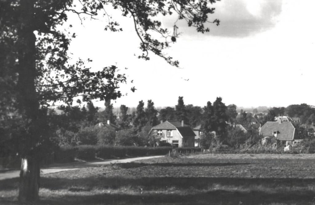 948007 Ede Panorama 1955 Gelopen met postzegel, Ophalen of Verzenden, 1940 tot 1960, Gelopen, Gelderland