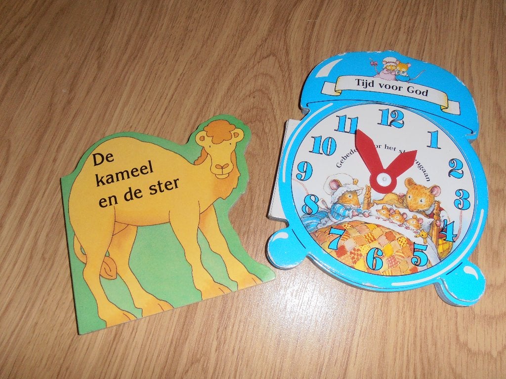 Tijd voor God en de kameel, Ophalen of Verzenden, Gelezen