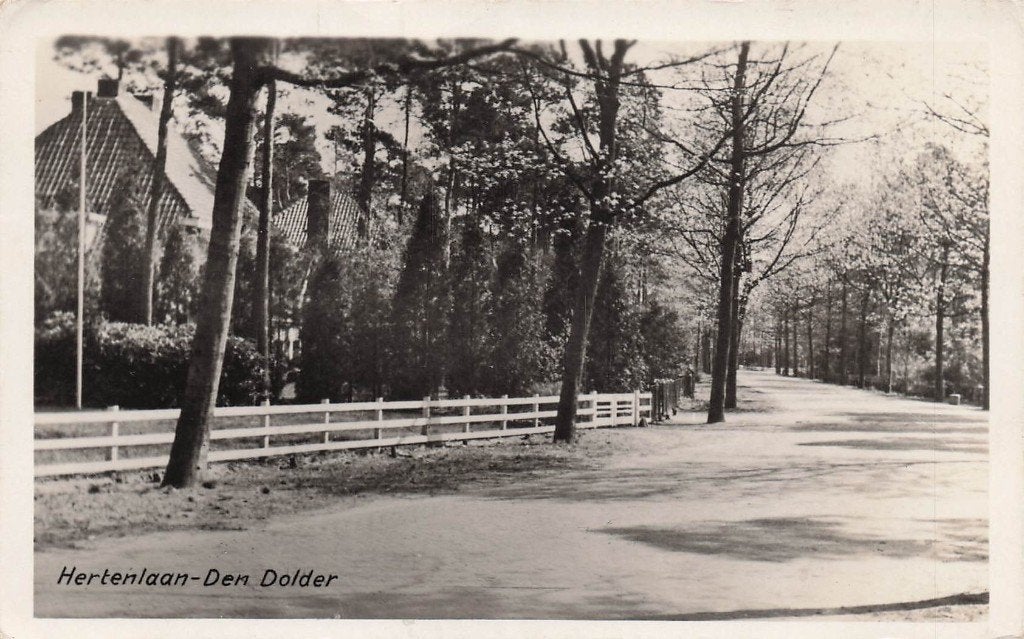 JP1262 Den Dolder Hertenlaan ca 1950, Ophalen of Verzenden, 1940 tot 1960, Gelopen, Utrecht