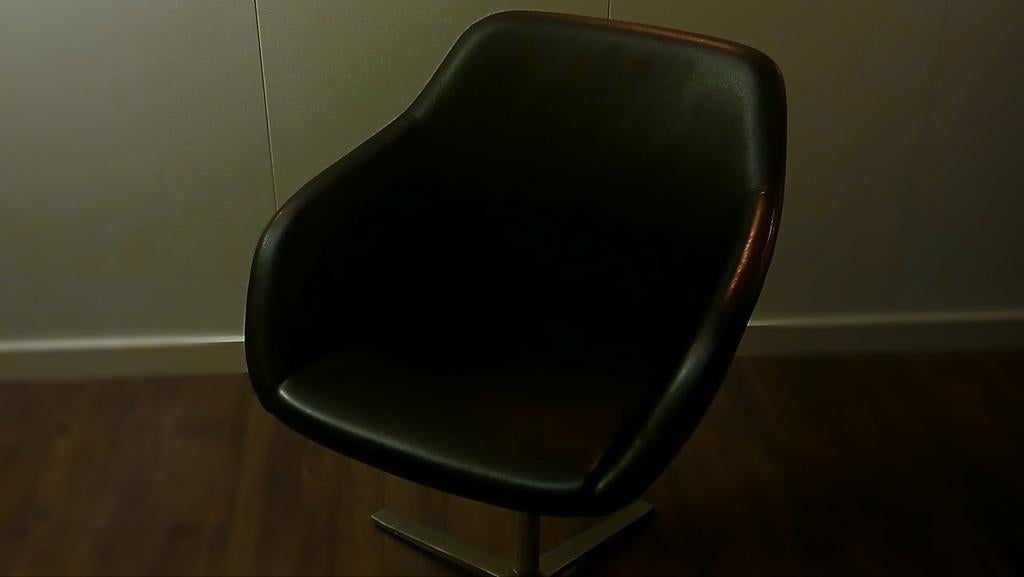 Walter Knoll Turtle Chair, Ophalen, Zwart, Zo goed als nieuw, Leer
