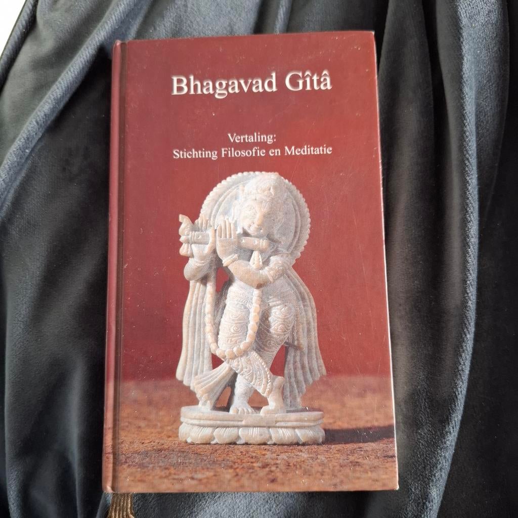 Bhagavad Gita, Boeken, Ophalen of Verzenden, Zo goed als nieuw