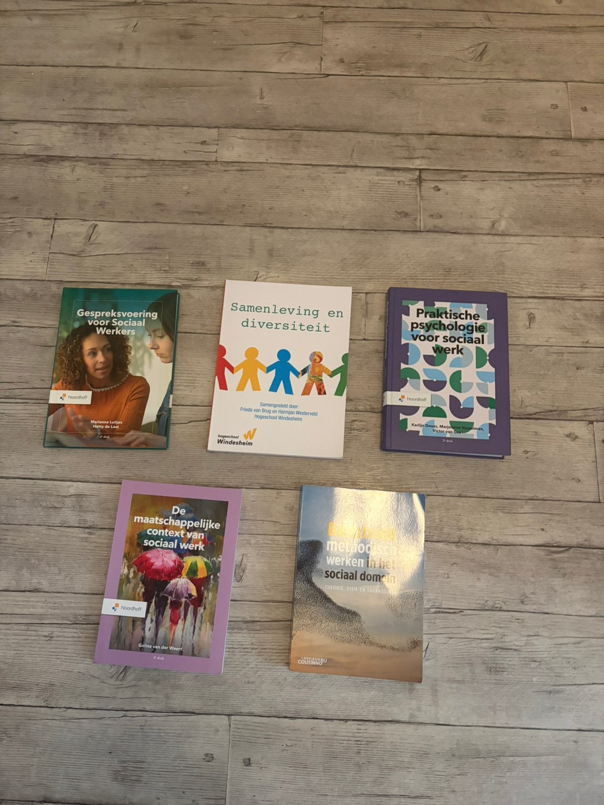 Social Work boeken jaar 1, Boeken, Ophalen of Verzenden, Alpha, Zo goed als nieuw, HBO