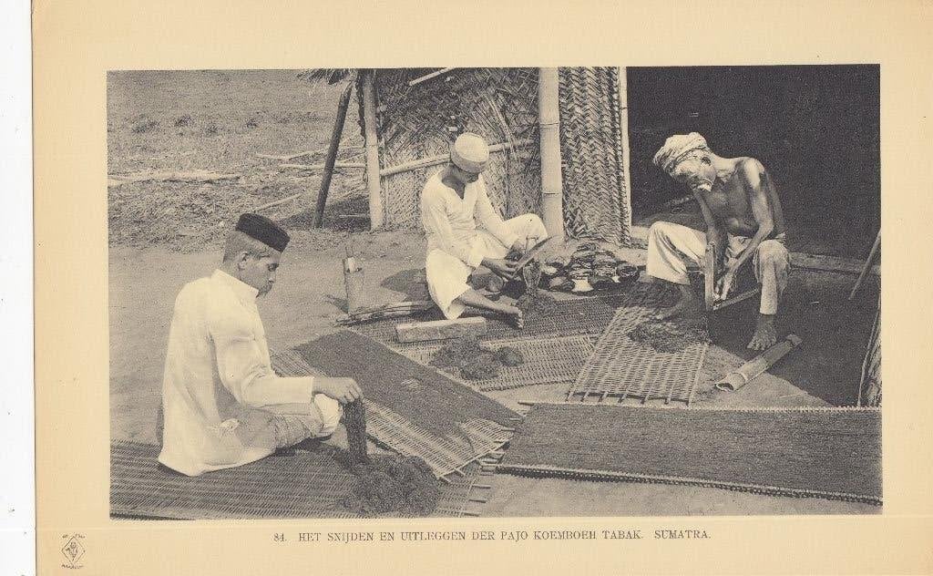 Originele fotogravure 1910 - Nederlands-Indië, Sumatra, Gebruikt, Foto, Voor 1940, Buitenland