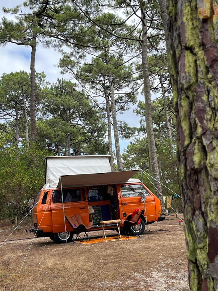 Vw T3 genaamd Nacho, Buscamper of Camperbus, Volkswagen, Tot en met 3, Particulier