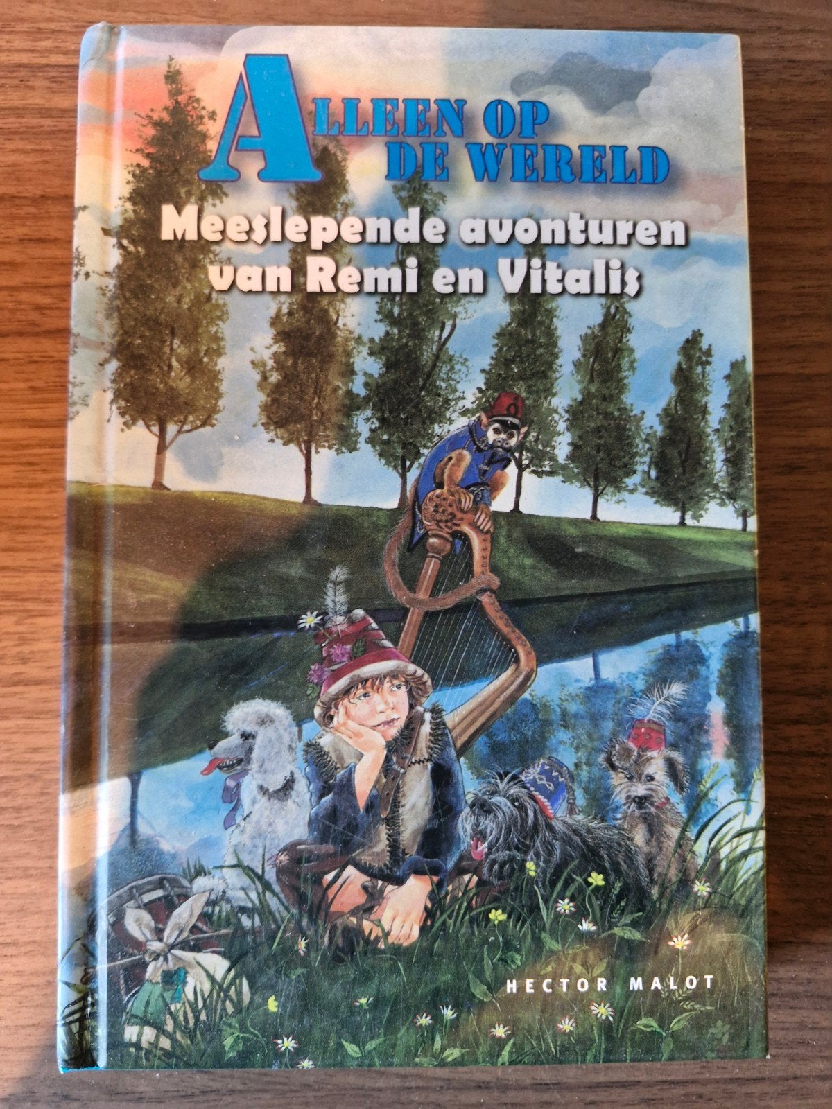 Alleen op de Wereld - Meeslepende avonturen van Remi, Ophalen of Verzenden, Gelezen, Hector Malot, Fictie algemeen