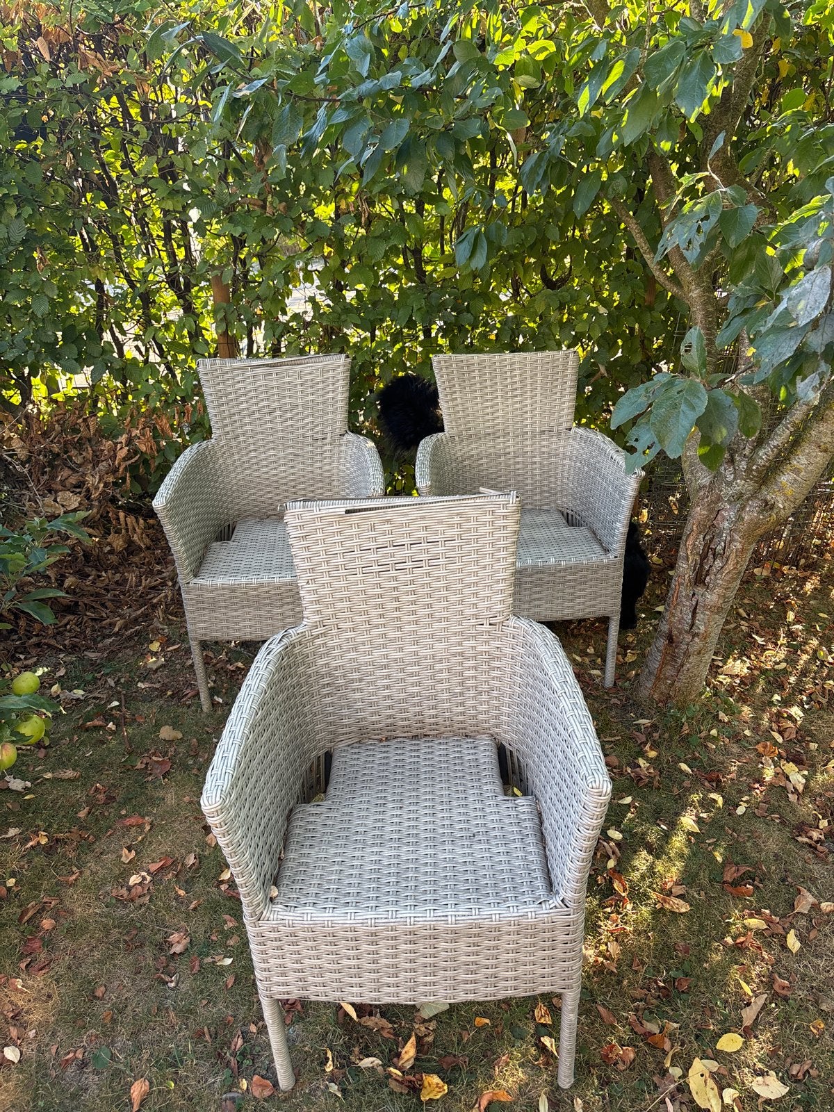 Set van 3 Wicker Tuinstoelen, Tuin en Terras, Ophalen, Gebruikt, Wicker