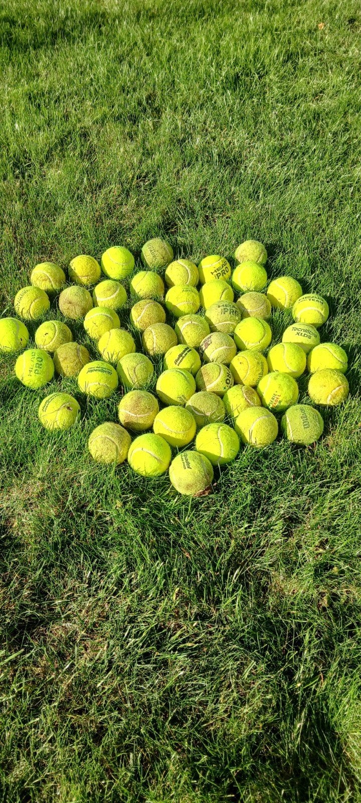 Partij gebruikte tennisballen - diverse merken, Ophalen of Verzenden, Gebruikt, Ballen, Overige merken