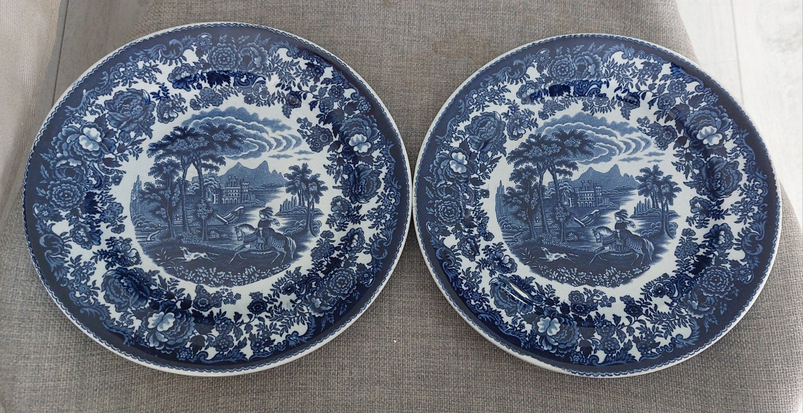 Set van 2 antieke borden Petrus Regout Maastricht – Amazone, Ophalen of Verzenden