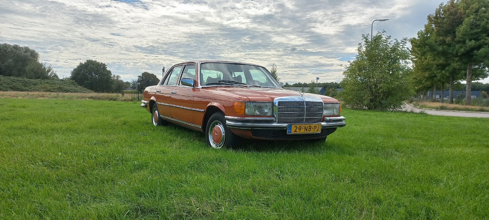 Mercedes-Benz Mercedes 1978, foto 2
