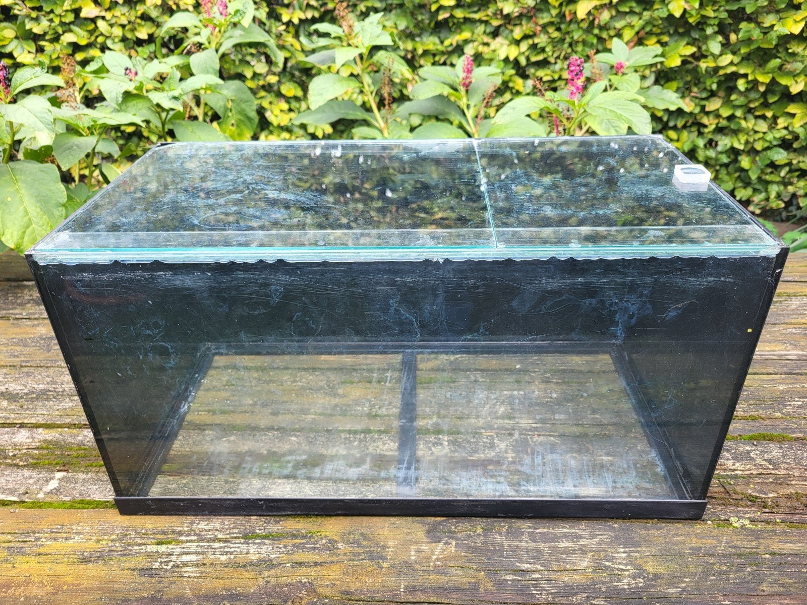 aquarium 60x30x30 cm, Ophalen, Gebruikt, Leeg aquarium