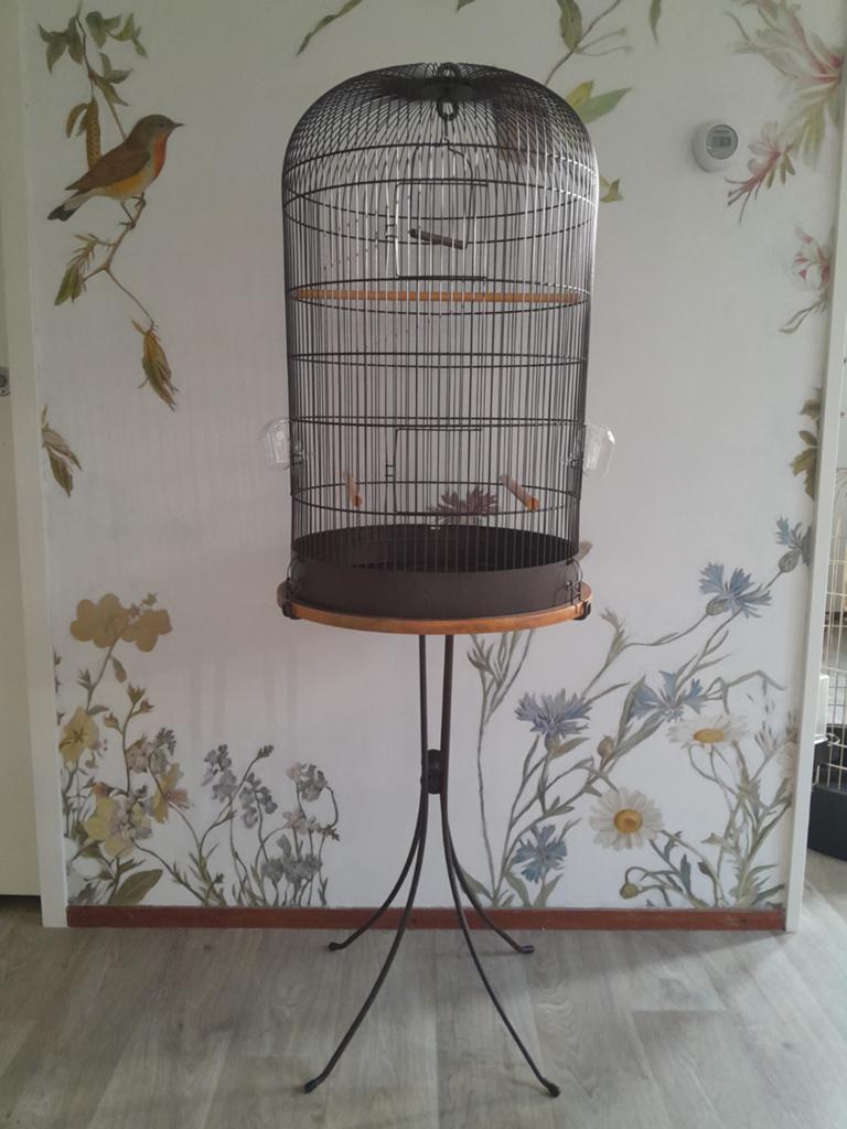 Nieuwe Zolux retro vogelkooi incl bijpassende standaard, Ophalen, Nieuw, Metaal, Vogelkooi