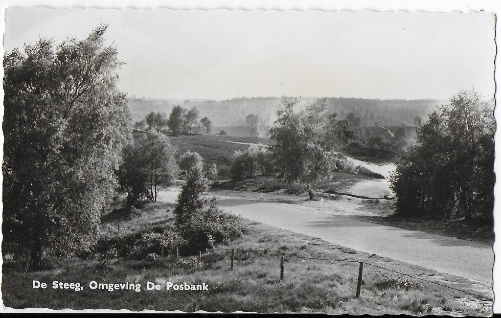 Pa1194 oude ansichtkaart de steeg omgeving de posbank, Ophalen of Verzenden, 1960 tot 1980, Gelopen, Gelderland