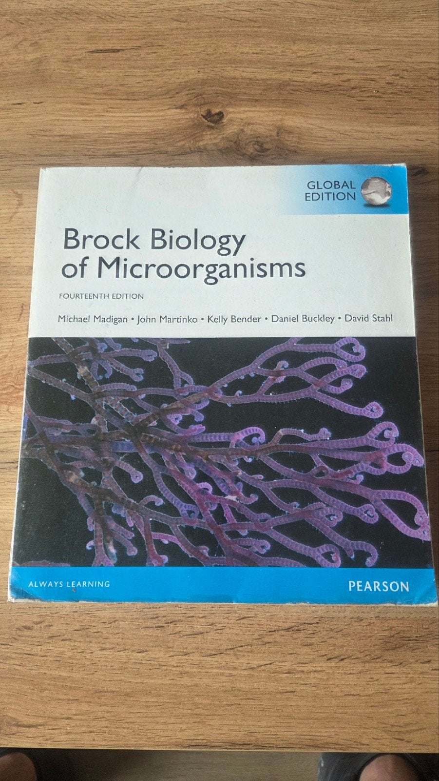 Brock Biology of Microorganisms, Zo goed als nieuw, Michael Madigan, John Martinko, Kelly Bender, Daniel Buckley, Beta, HBO