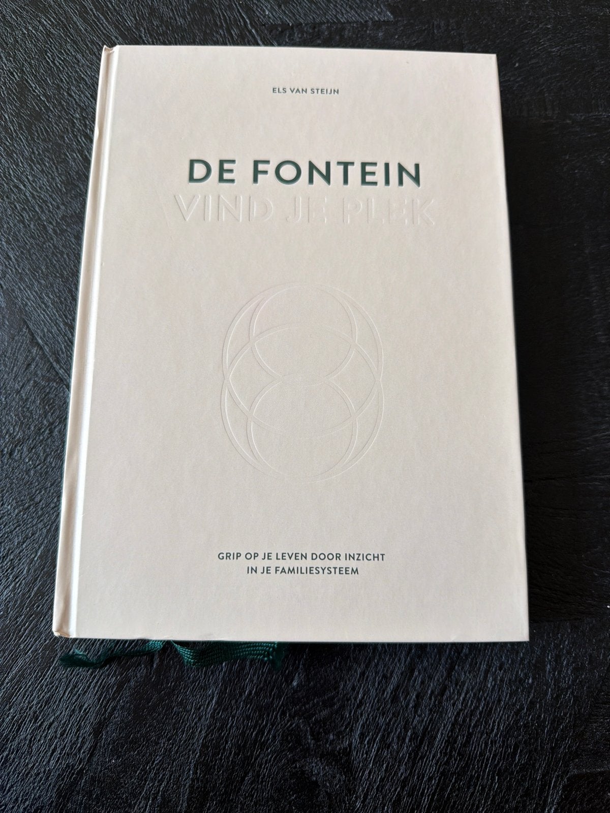 De Fontein - Vind je plek - Els van Steijn (Zo goed als nieu, Boeken, Ophalen of Verzenden, Zo goed als nieuw, Overige