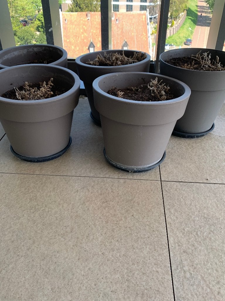 Te koop 5 bloempotten kleur taupe, Kunststof, Rond, Zo goed als nieuw, Minder dan 40 cm