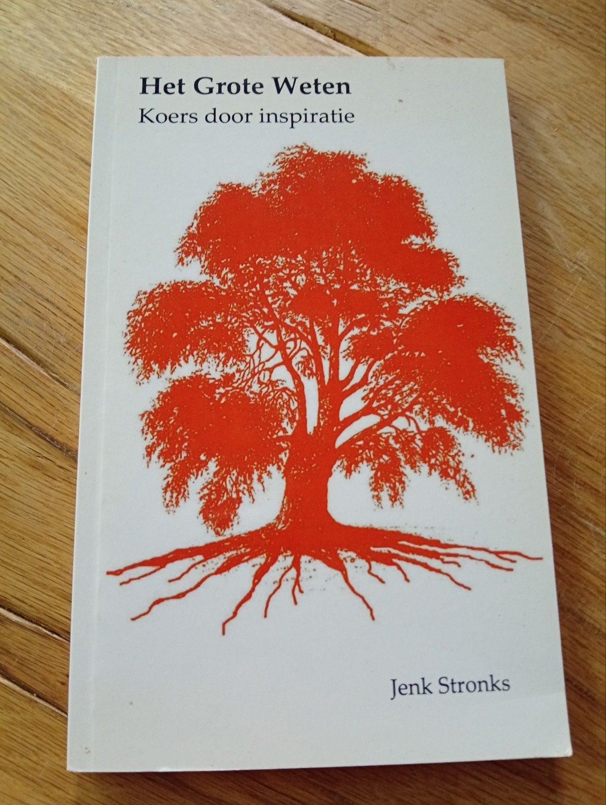 Het Grote Weten: Koers door inspiratie - Jenk Stronks, Ophalen of Verzenden, Zo goed als nieuw, Nederland, Jenk Stronks