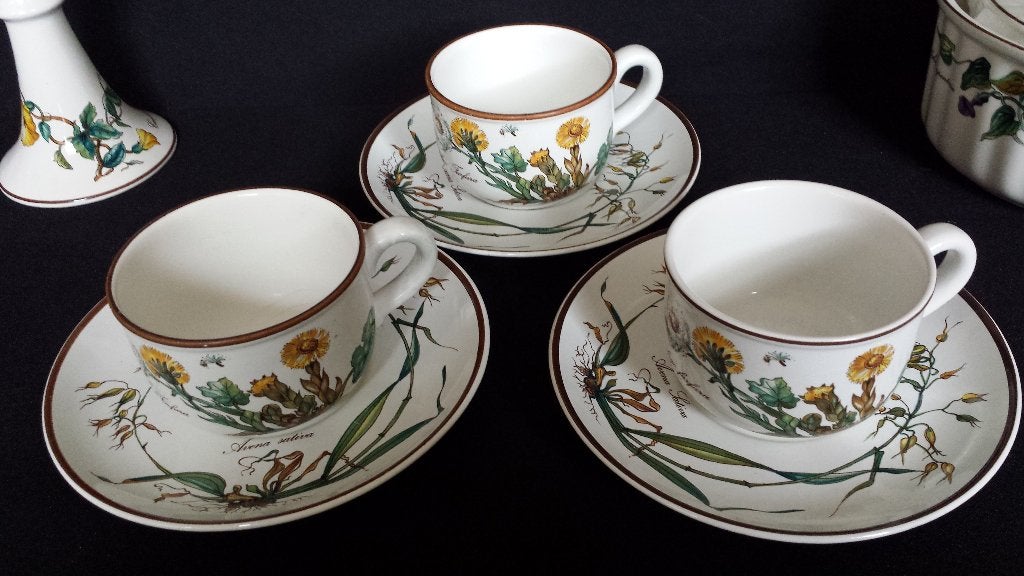 SET 3 x Kop en Schotel ~ Villeroy & Boch BOTANICA ~ Jaren 80, Huis en Inrichting, Keuken | Servies, Gebruikt, Keramiek, Villeroy & Boch