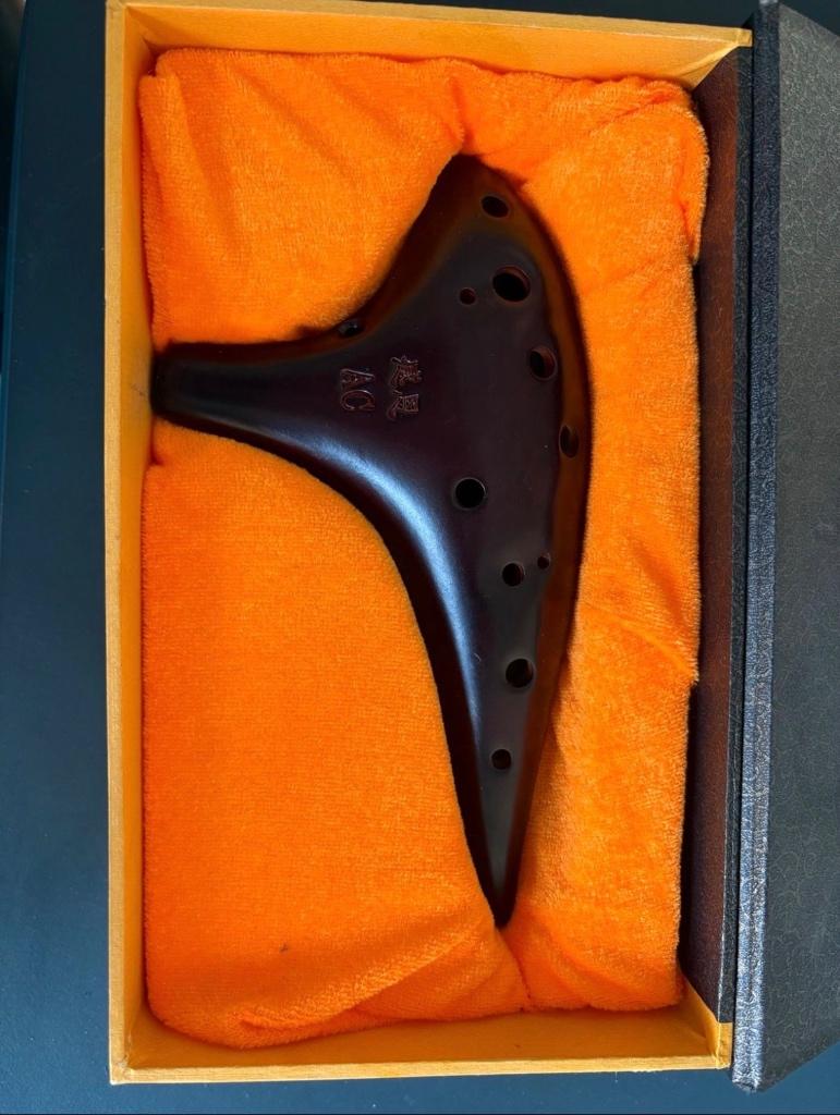 Ocarina, Muziek en Instrumenten, Ophalen of Verzenden, Zo goed als nieuw, Met koffer of doosje, C-mondharmonica