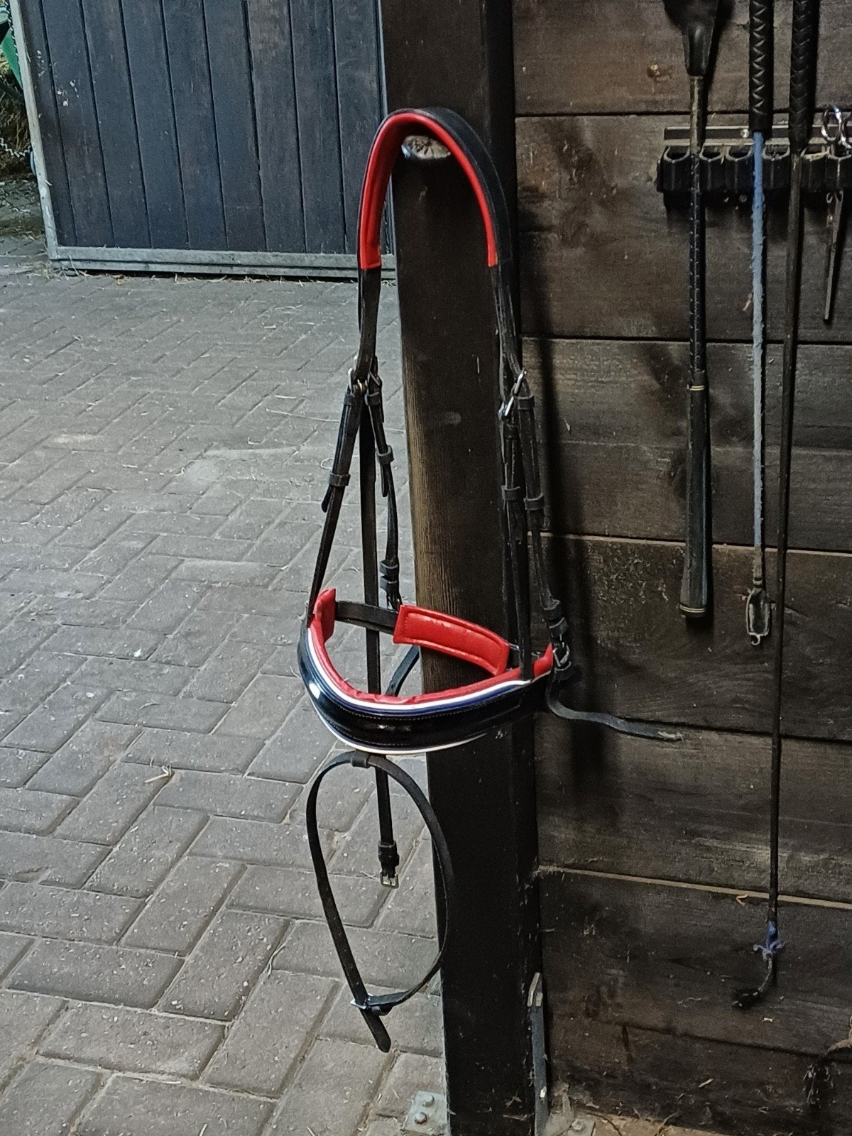 Rood-wit-blauw Hoofdstel Full, Dieren en Toebehoren, Meerkleurig, Ophalen of Verzenden, Full, Dressuur