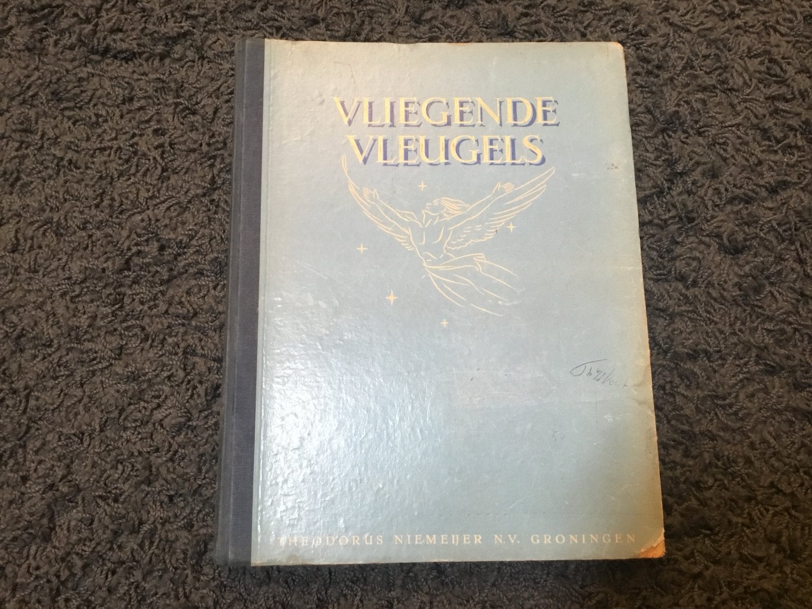 Vliegende Vleugels - Historisch Boek over Luchtvaart, Ophalen of Verzenden, Gelezen