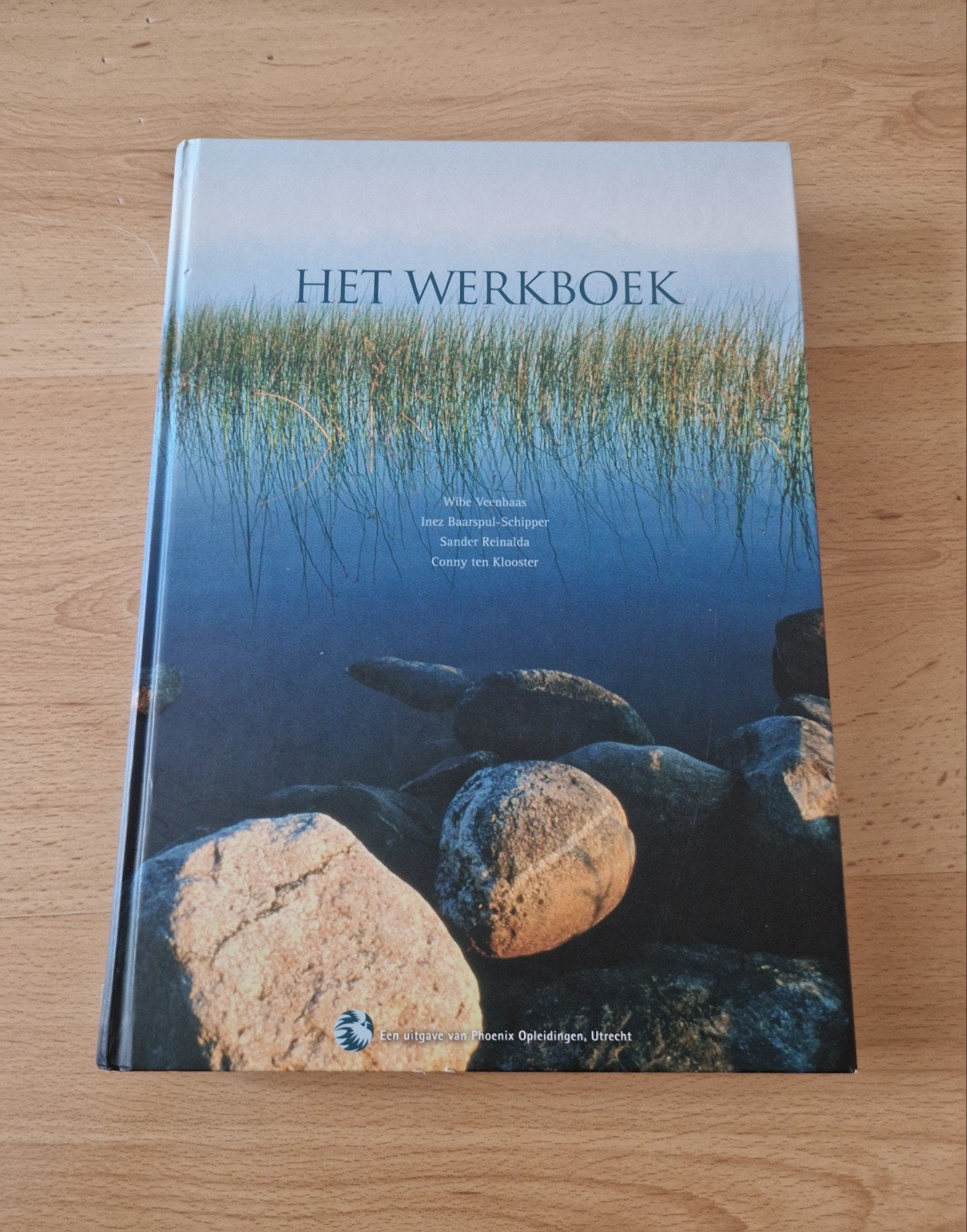 Boek het werkboek wibe veenbaas phoenix opleiding, Ophalen of Verzenden, Beta, Zo goed als nieuw, HBO