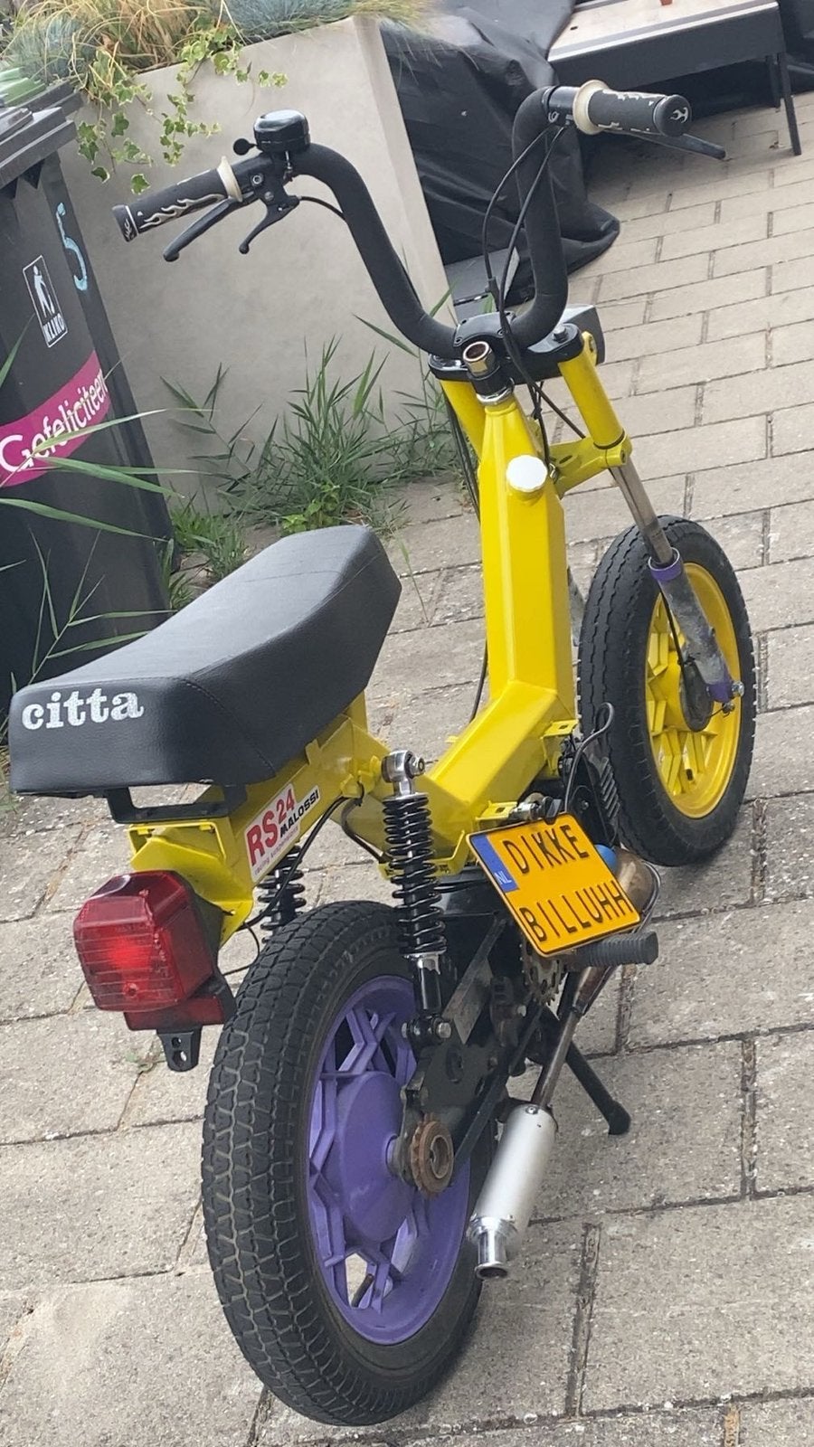 Orgineel citta crazy paarse achtervelg, Ophalen, Gebruikt