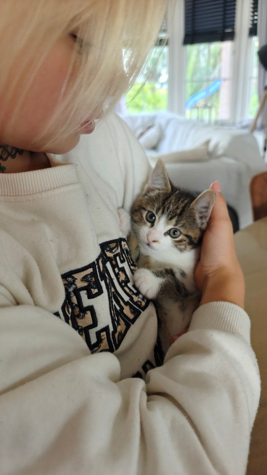 4 prachtige, lieve kittens (Alleen poesje 2 nog beschikbaar), Meerdere dieren