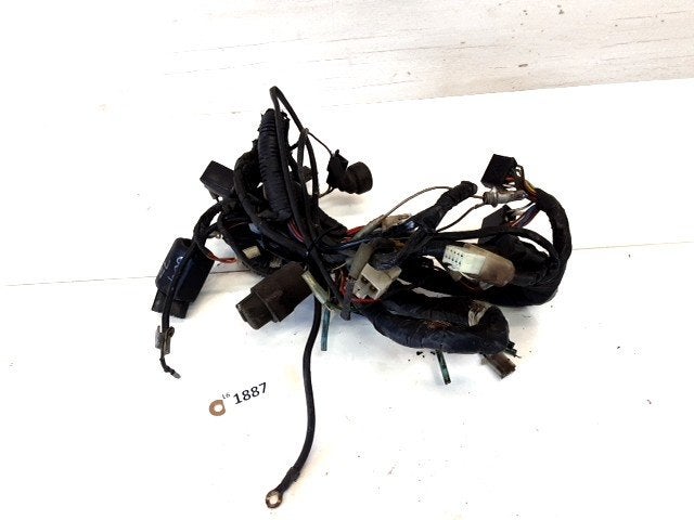 ZL600 Eliminator 1995 - 1997 Kawasaki Kabelboom D1-54870