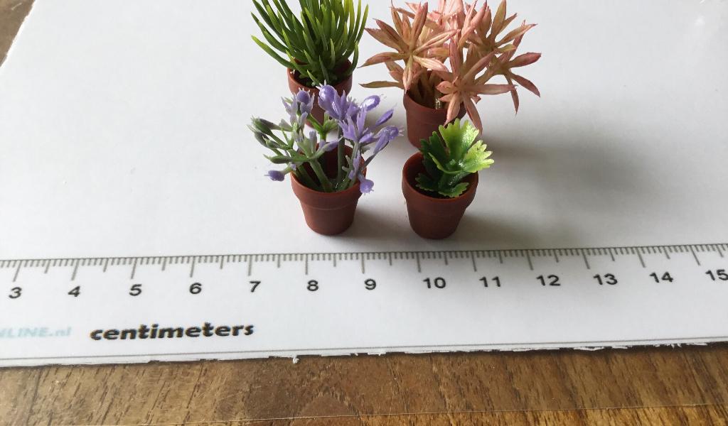 Poppenhuis miniaturen plantjes, Ophalen of Verzenden, Nieuw, Poppenhuis