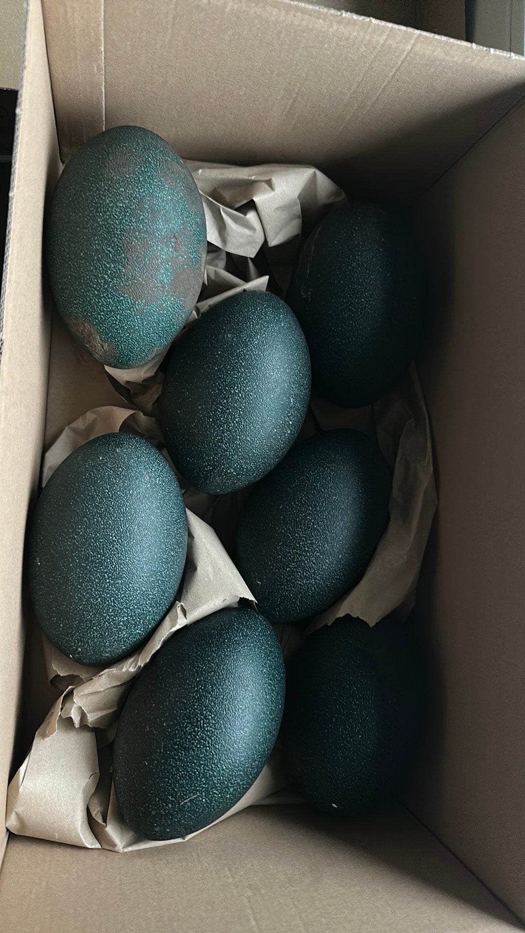 Emoe eieren voor decoratie moeten weg!!, Ophalen of Verzenden, Blauw, Natuurlijk materiaal
