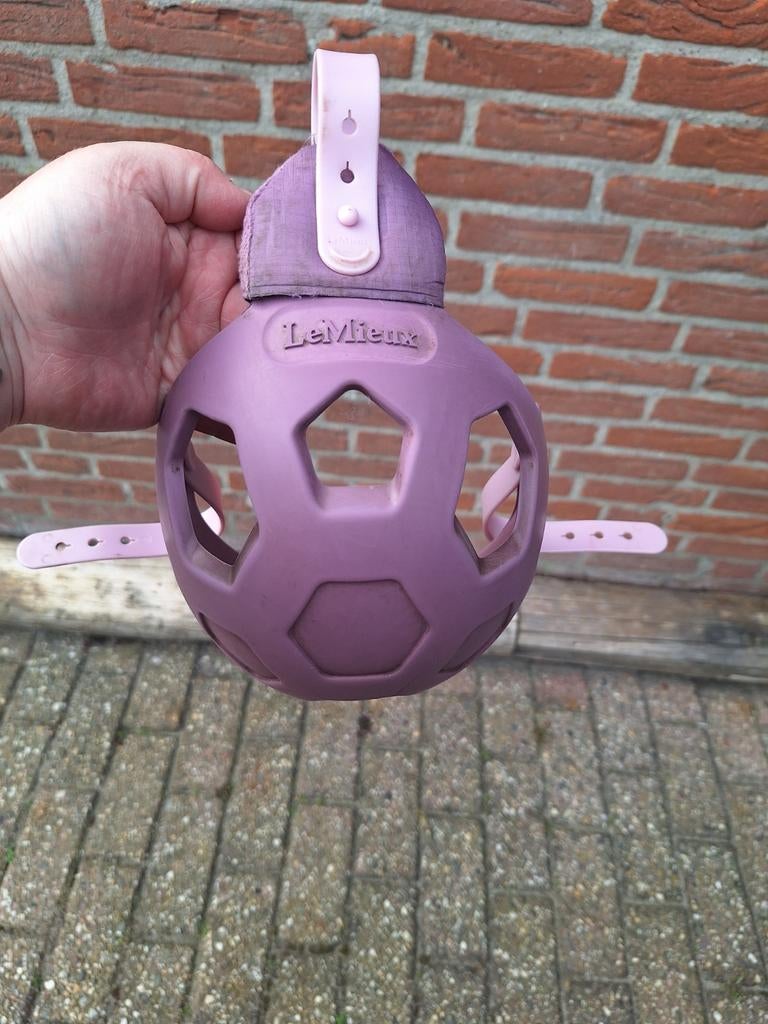 Graasmasker pony, Dieren en Toebehoren, Ophalen, Zo goed als nieuw, Overige soorten