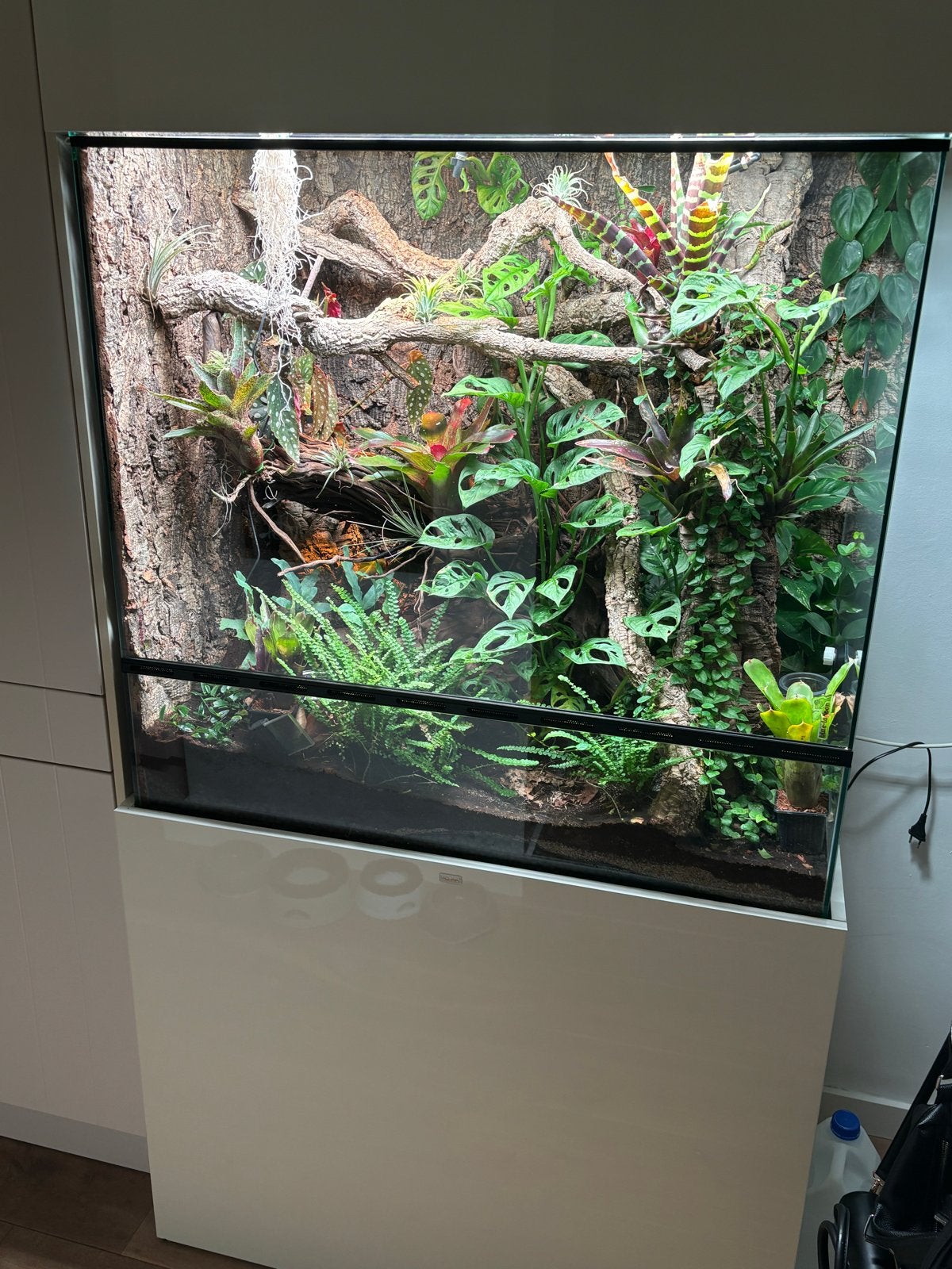 Terrarium 191 hoog 56 diep 101cm breed, Ophalen, Zo goed als nieuw