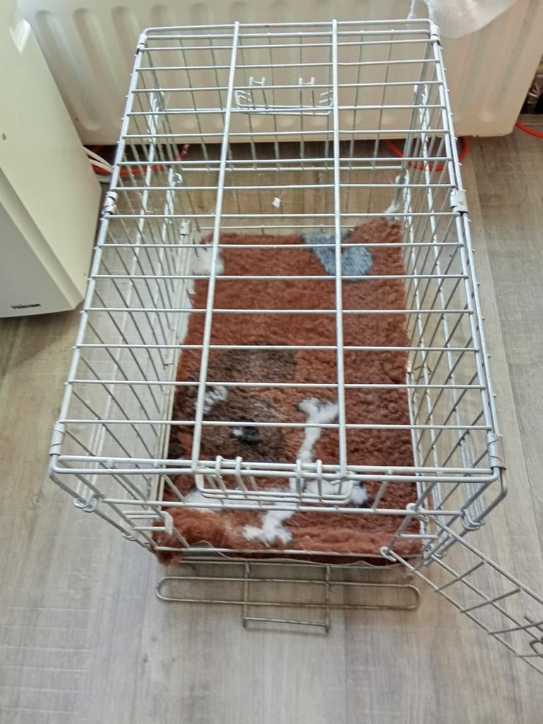 Bench voor kleine honden en pups inclusief nieuwe vetdeken., Dieren en Toebehoren, Ophalen