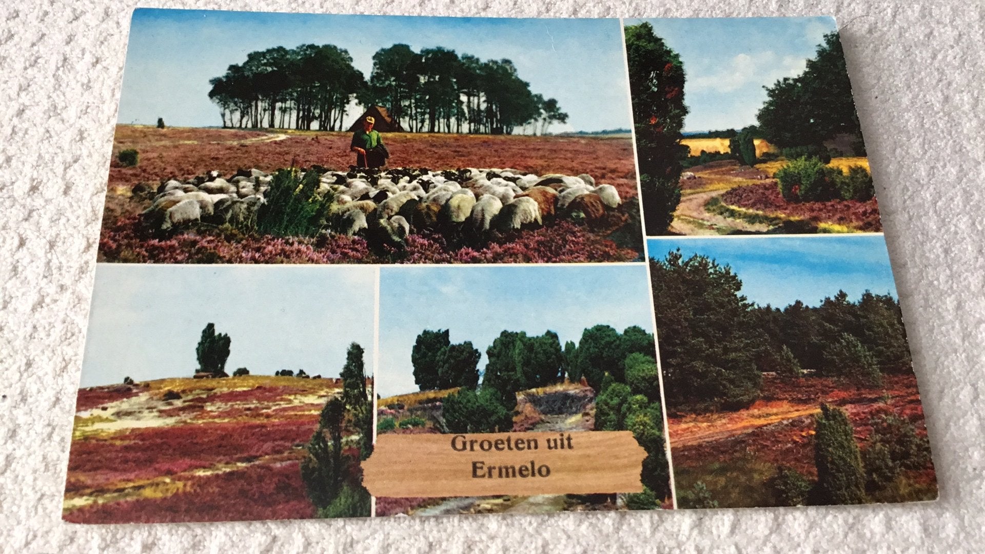 Groeten uit Ermelo., Ophalen of Verzenden, Ongelopen, Gelderland