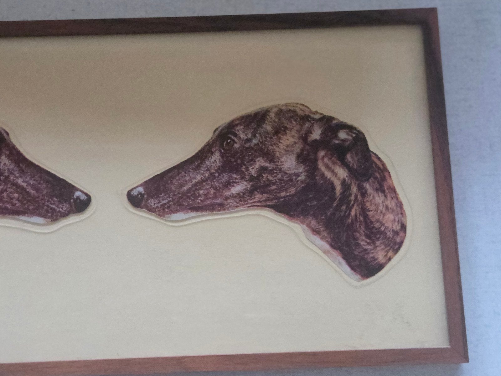 Vintage ingelijste print windhonden, Verzamelen, Ophalen of Verzenden, Gebruikt
