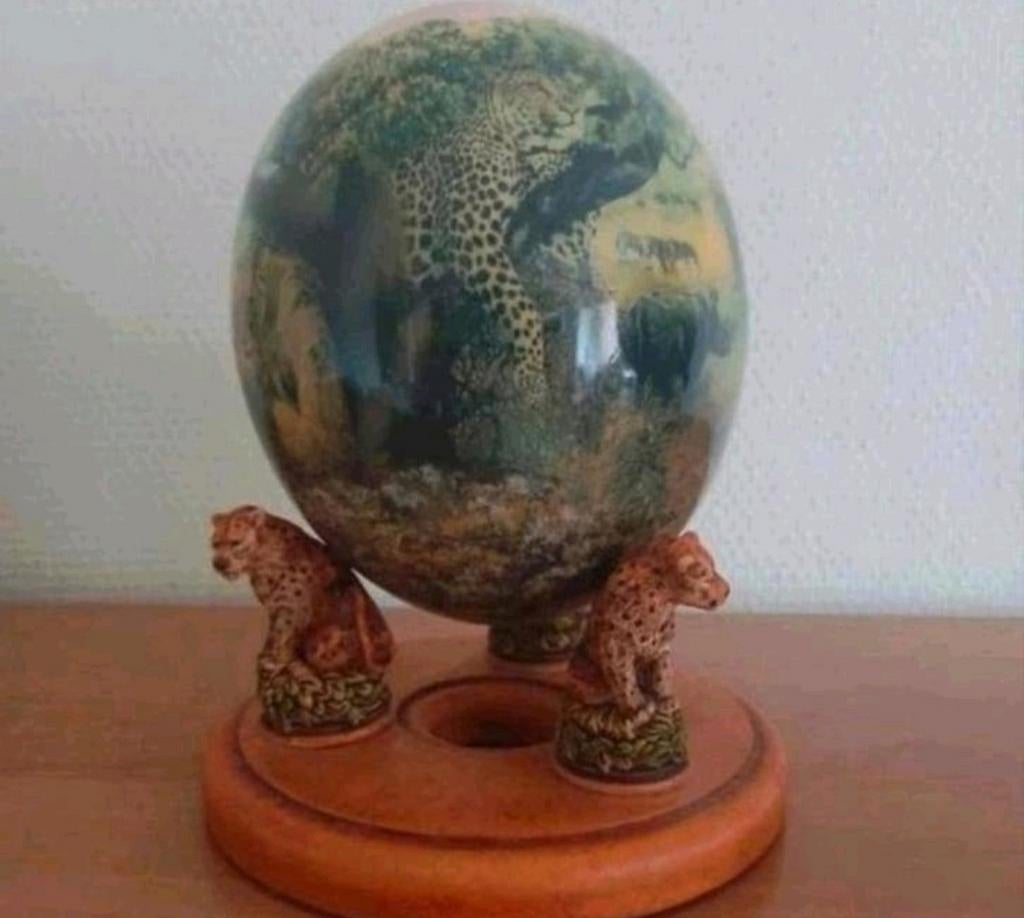Struisvogel  , struis vogel ei big five afrika  , afrikaanse, Ophalen of Verzenden