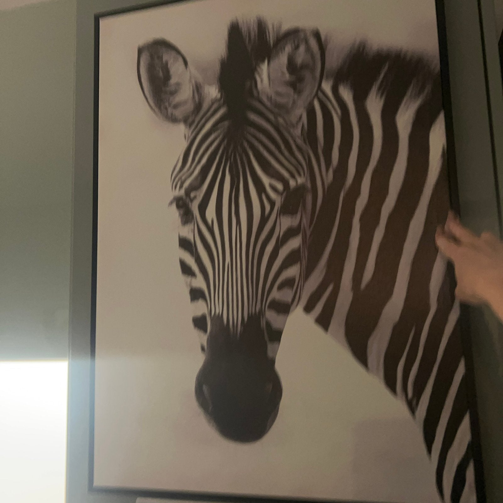 Zebra wanddecoratie – 70 x 50 cm, Ophalen