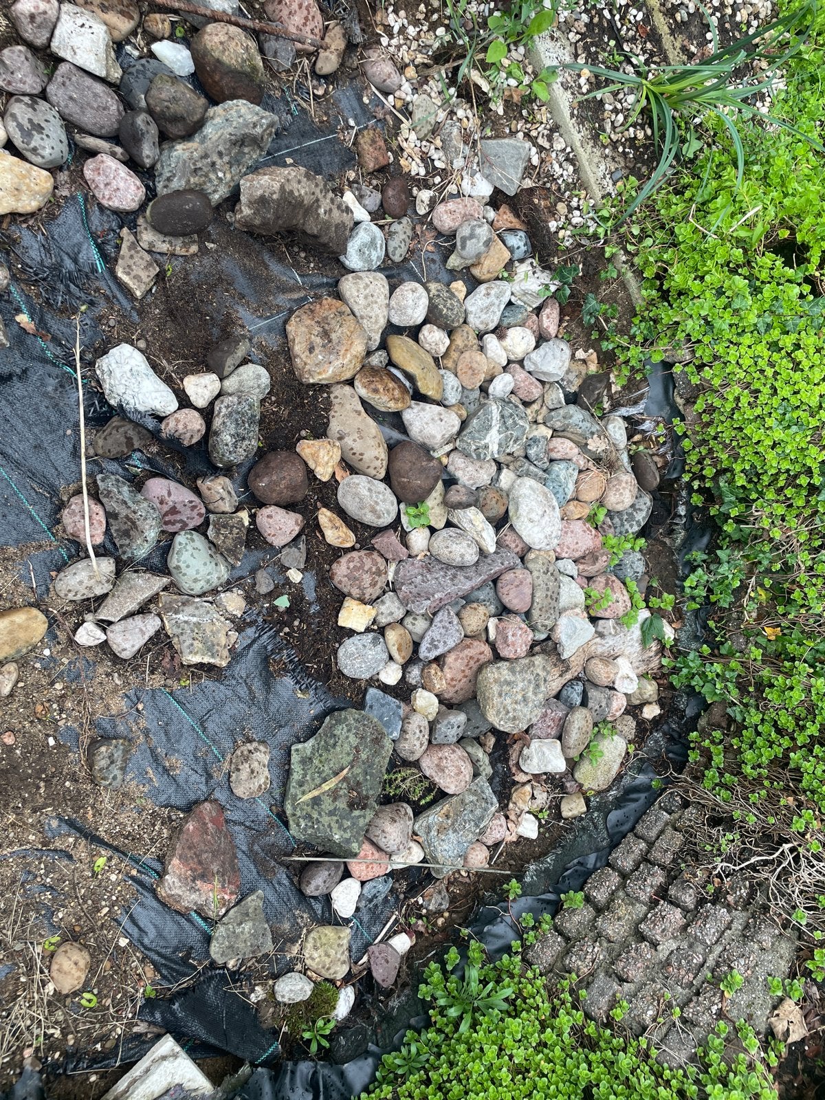 Gratis ophalen: diverse tuinstenen, rivierstenen en keien, Tuin en Terras, Ophalen, Overige materialen, Gebruikt, Kei