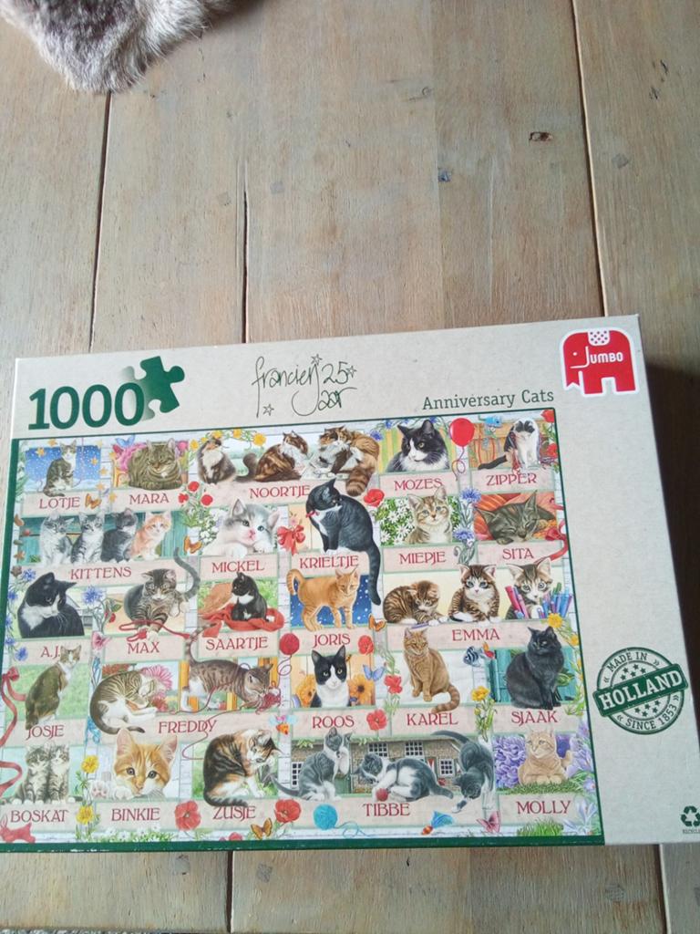 Francien van Westering Jubileum Katten Puzzel 1000 stuks, Ophalen of Verzenden, 500 t/m 1500 stukjes, Zo goed als nieuw