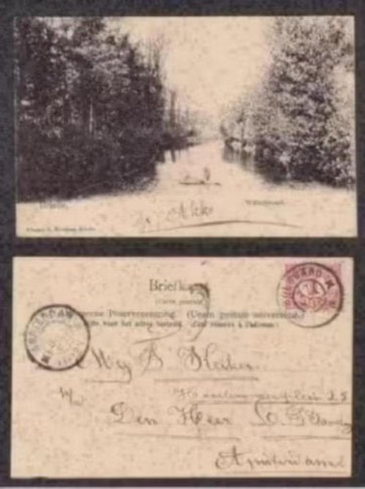 Brielle Waterpoort 1903., Ophalen of Verzenden, Voor 1920, Gelopen, Zuid-Holland