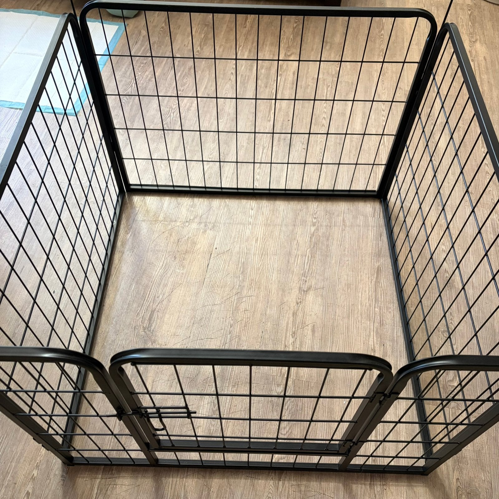 Puppy/hondenren acaza zgan, Dieren en Toebehoren, Ophalen, Hondenkennel, 110 cm of meer, Minder dan 65 cm