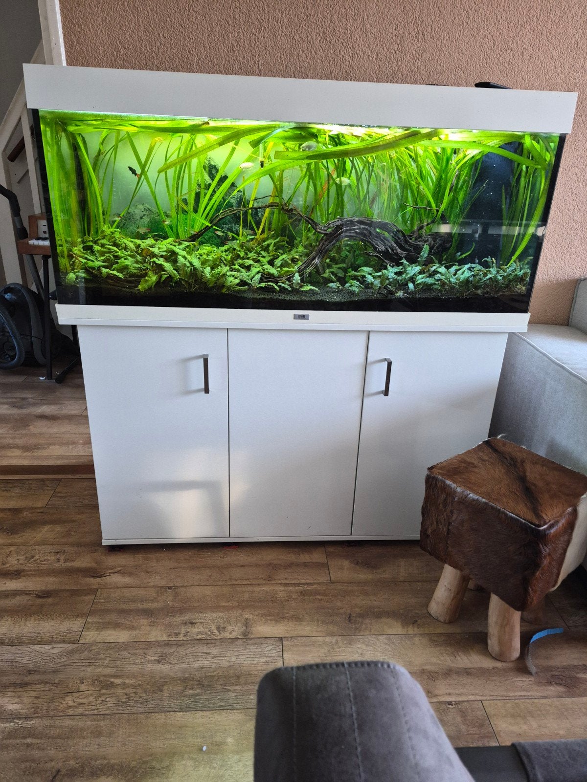 Juwel 240, Dieren en Toebehoren, Vissen | Aquaria en Toebehoren, Ophalen, Gebruikt, Gevuld zoetwateraquarium, Inclusief vissen