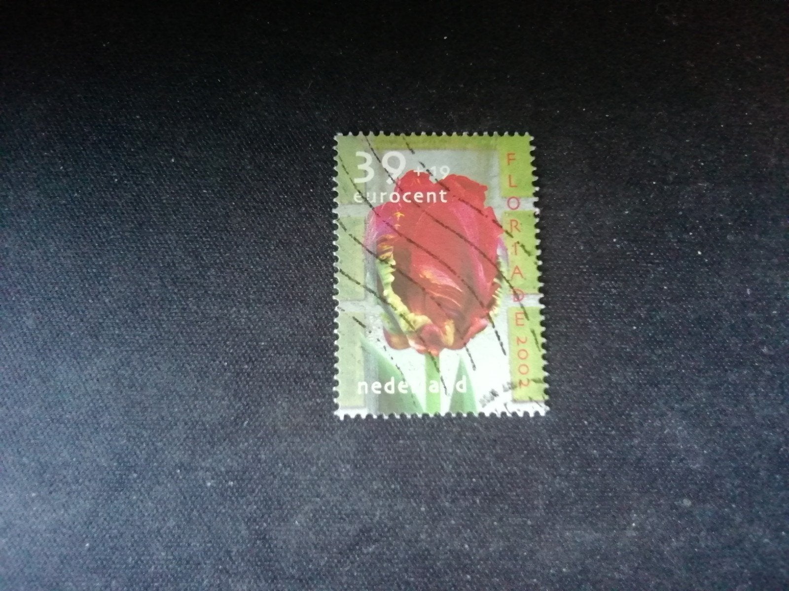 48 NEDERLAND FLORIADE 2002 GESTEMPELD, Ophalen of Verzenden, Na 1940, Gestempeld