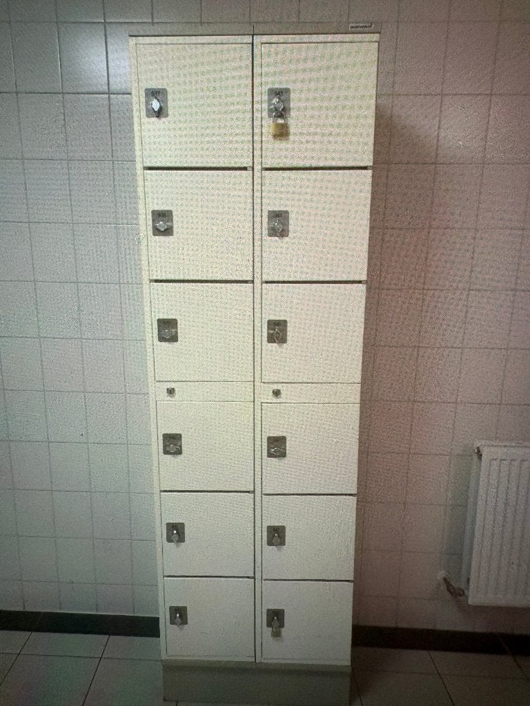 Metalen locker kast met 12 lockers, Ophalen of Verzenden, Gebruikt, Metaal