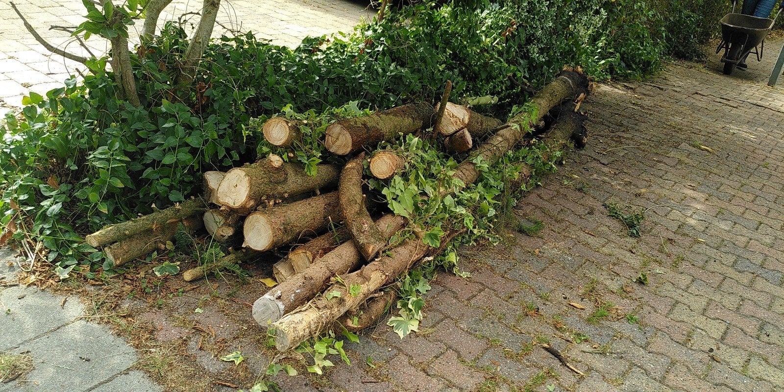Dennenhout, gratis af te halen, Minder dan 3 m³, Ophalen