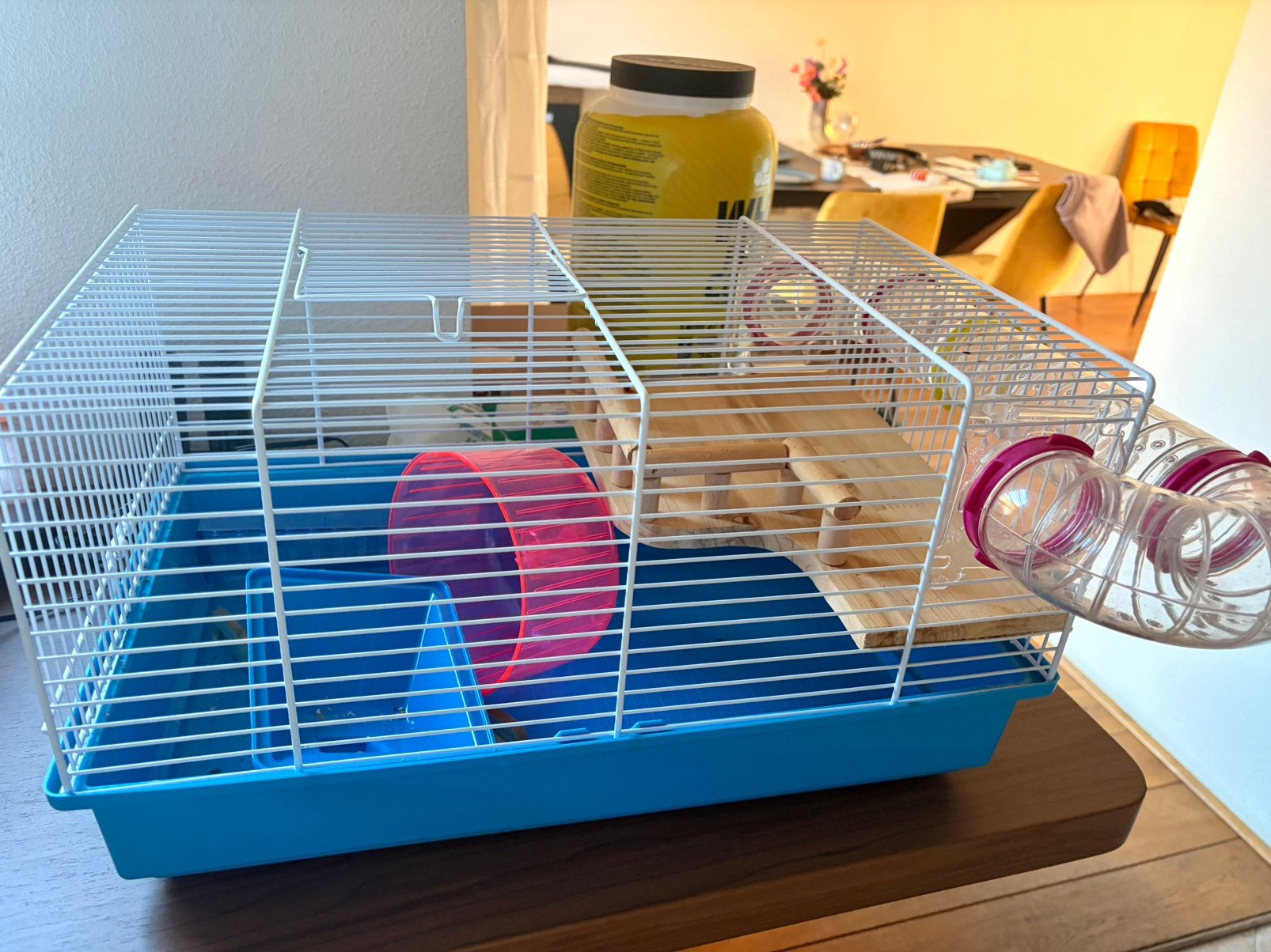 Hamster kooi, Minder dan 60 cm, Kooi, Minder dan 75 cm, Ophalen of Verzenden