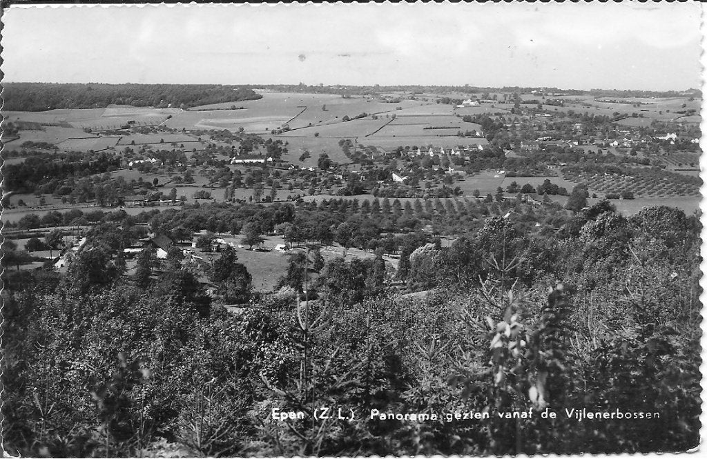 Oude ansichtkaart Epen (Z.L.) Panorama Vijlenerbossen, Ophalen of Verzenden, 1960 tot 1980, Gelopen, Limburg