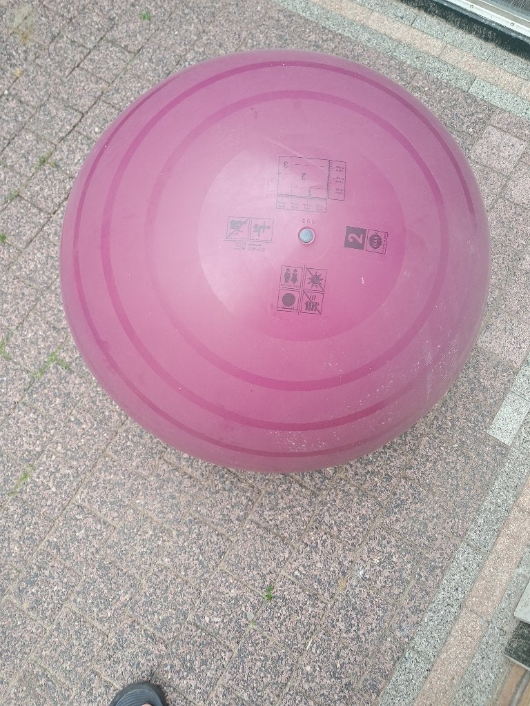 Gym bal vd decathlon, Ophalen, Zwangerschap en Bevalling