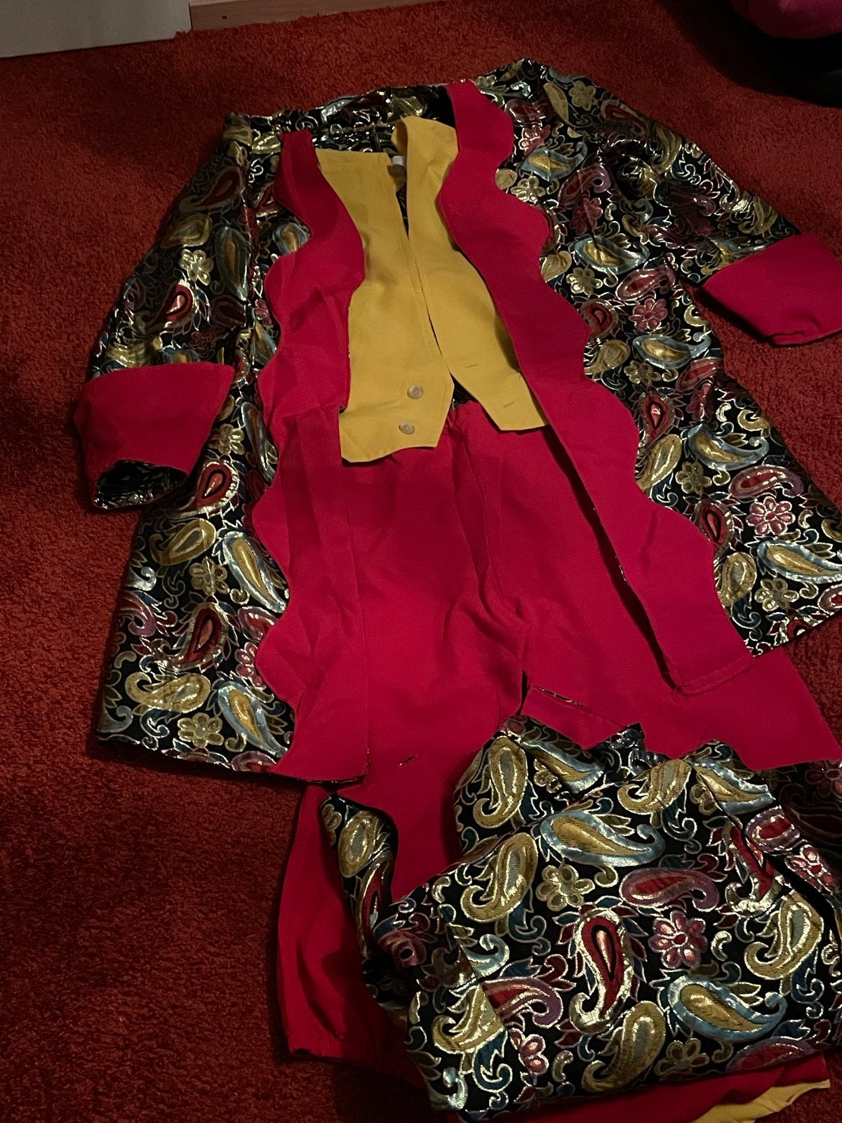 2xZelfgemaakt kostuum: Jas, driekwart broek en gilet, Ophalen of Verzenden, Gedragen, Carnaval