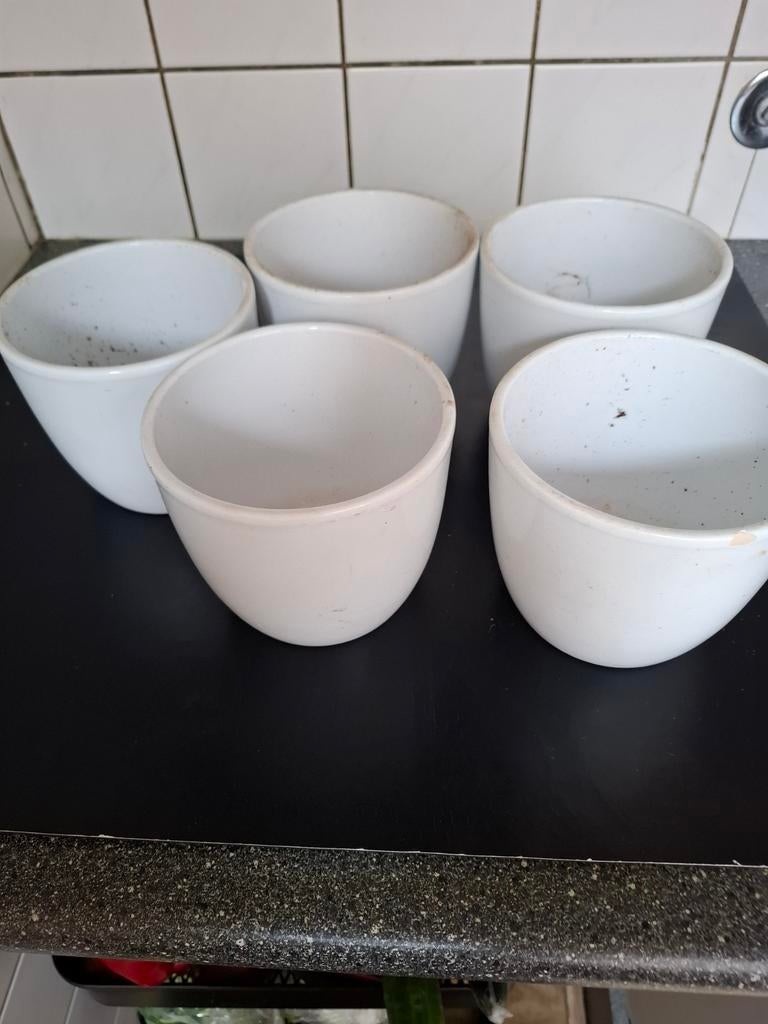 Set van 5 witte bloempotten, Antiek en Kunst, Ophalen